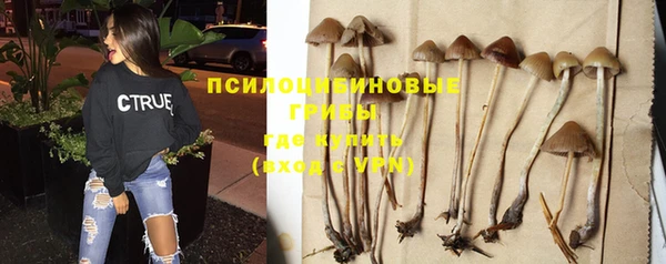 МДПВ Майский