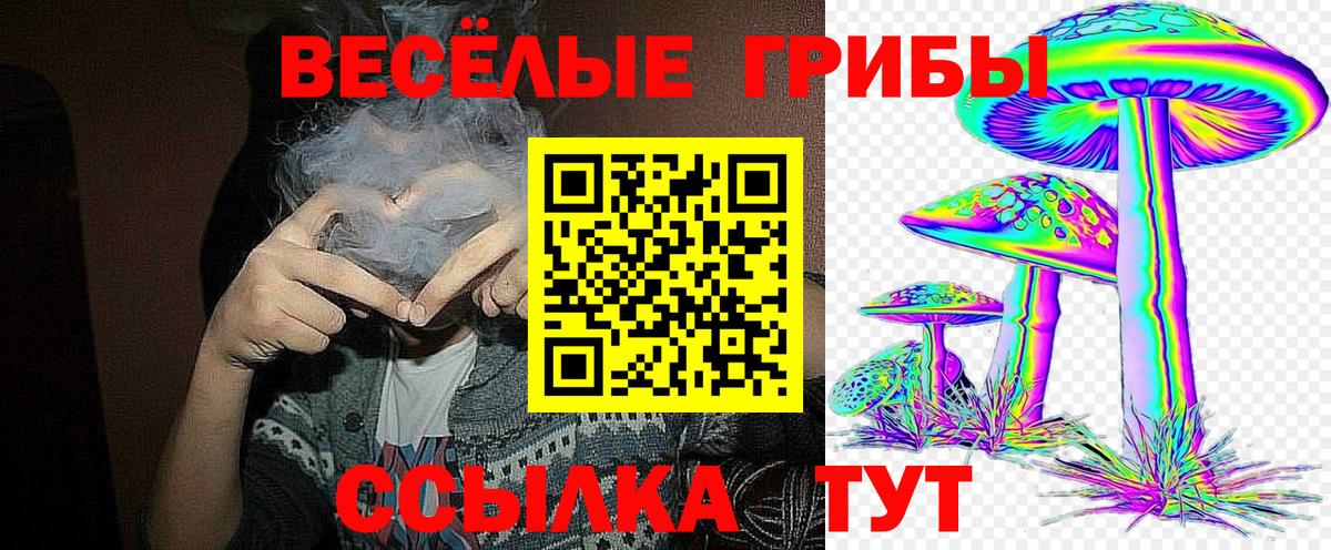 Псилоцибиновые грибы GOLDEN TEACHER  Псилоцибиновые грибы прущие грибы  Карачаевск 