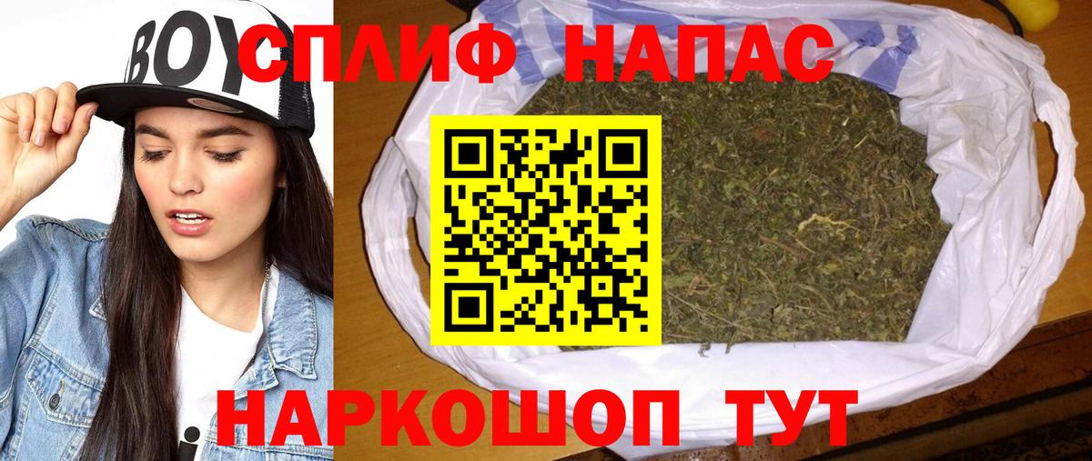 Каннабис OG Kush Карачаевск